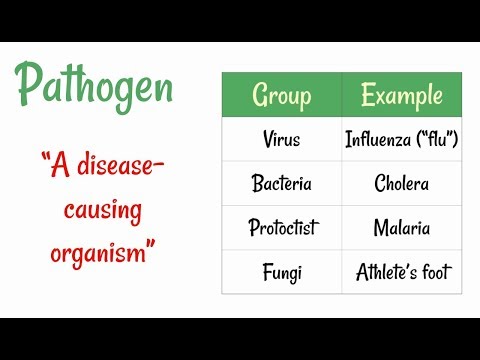 most pathogens that gain access through the skin